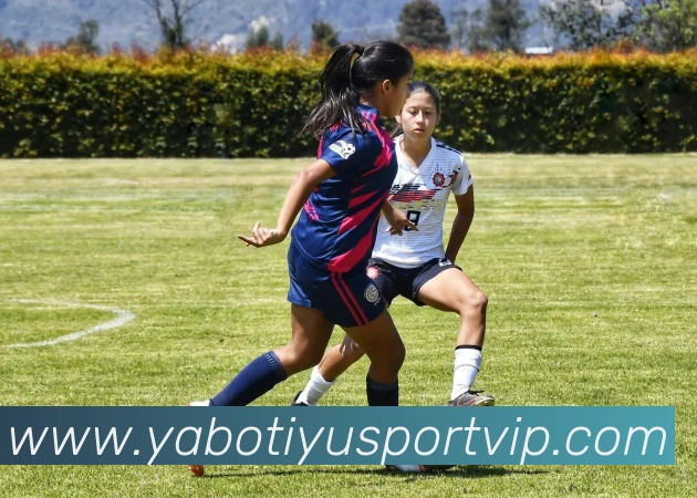 App Interface Preview